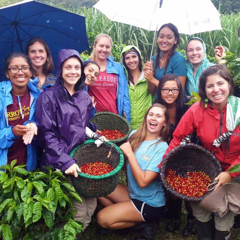 Cafe Monteverde Coffee Tour