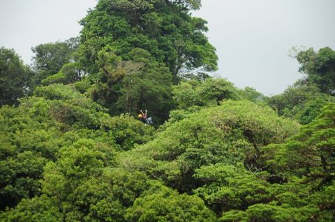 Selvatura Hummingbird Garden