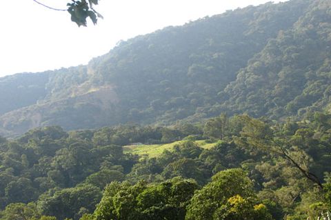 Monteverde Tours - San Luis Waterfall, Costa Rica