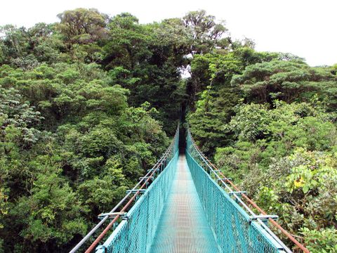 Selvatura Zip Line Canopy Tour & Cloud Forest Suspension Bridges