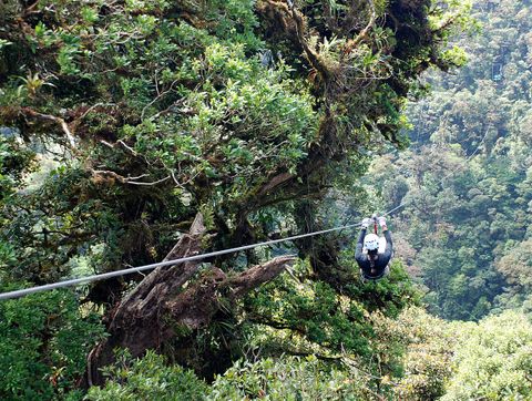 Things to do in Monteverde