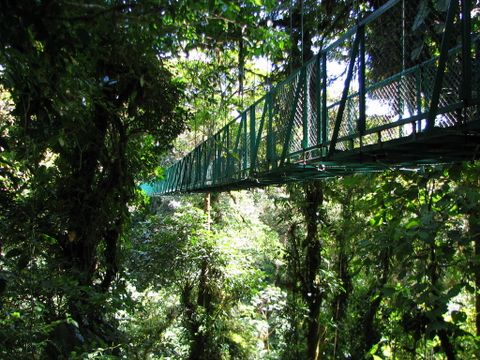 Monteverde Maps, Facts & Resources