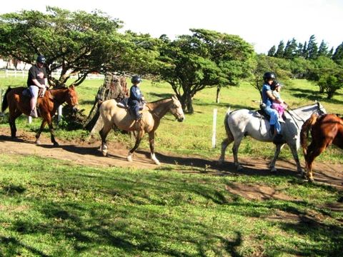 Horseback Riding