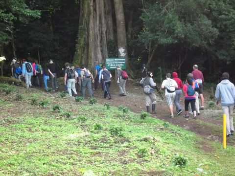 Curi-Cancha Reserve Tour