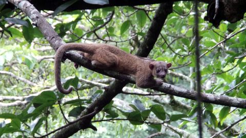 Curi Cancha Reserve Night Tour