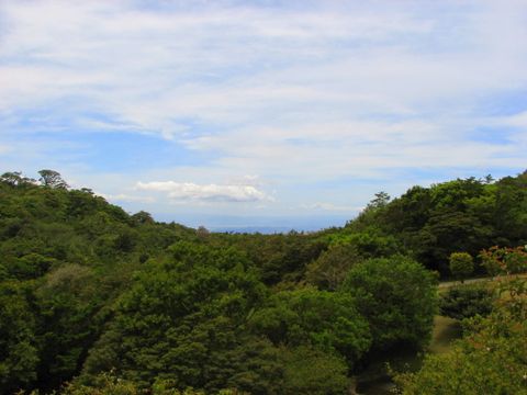 Monteverde Cloud Forest Lodge