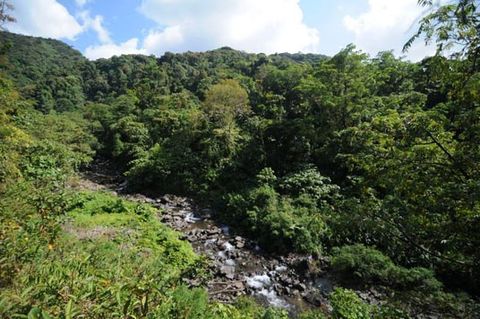 Monteverde Tours - San Luis Waterfall, Costa Rica