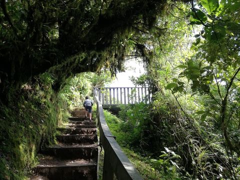 Monteverde Cloud Forest Reserve