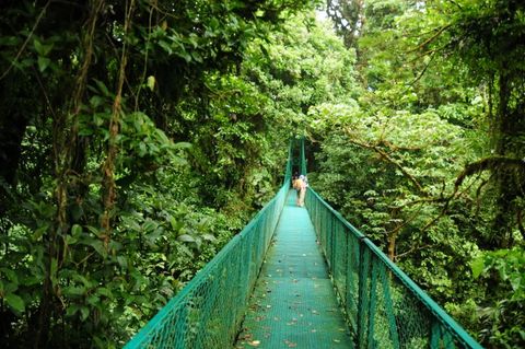 Selvatura Hummingbird Garden