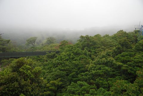 Sky Trek Monteverde Costa Rica - Canopy Tour