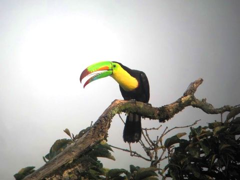 Curi-Cancha Reserve Tour