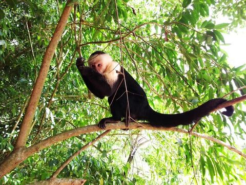 Curi-Cancha Reserve Tour