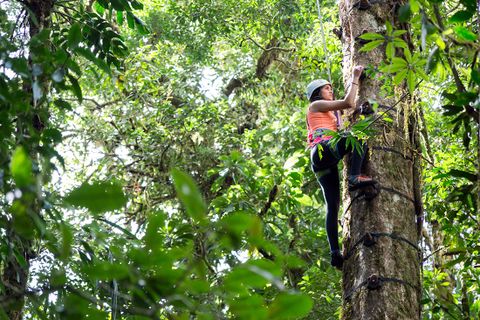 Adventure in Monteverde Costa Rica