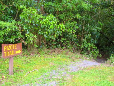 Monteverde Cloud Forest Lodge