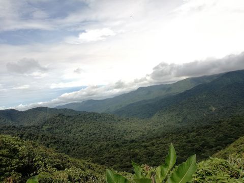 Monteverde Cloud Forest Reserve