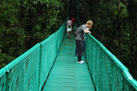 Treetop Suspension Bridges & Walkway