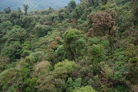 Sky Trek Monteverde Costa Rica - Canopy Tour