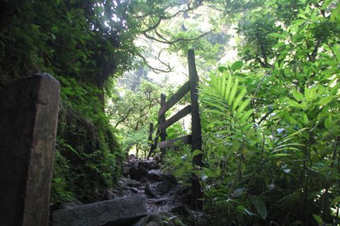 Monteverde Tours - San Luis Waterfall, Costa Rica