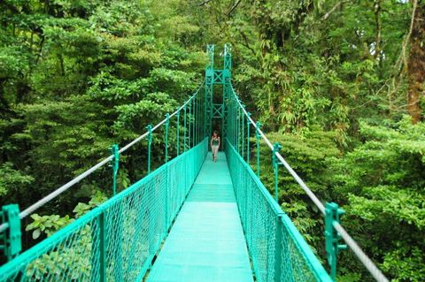 Selvatura Hummingbird Garden