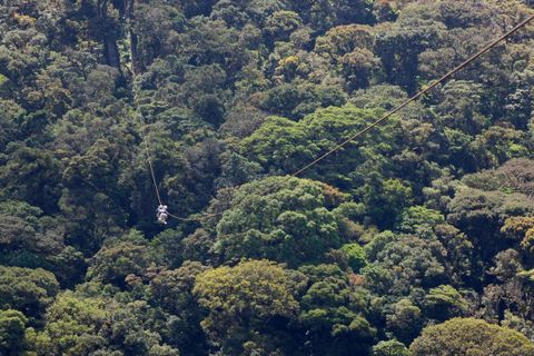 Sky Trek Monteverde Costa Rica - Canopy Tour