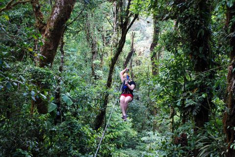 Selvatura Zip Line Canopy Tour & Cloud Forest Suspension Bridges