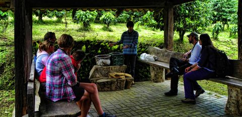 Don Juan Coffee, Chocolate & Sugar Cane Tour