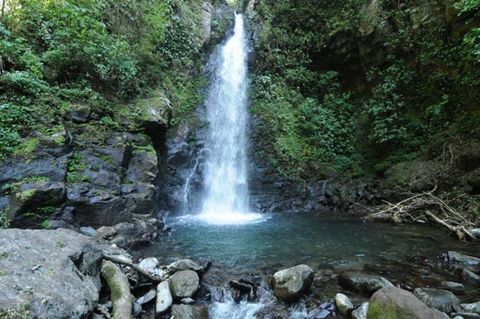 Monteverde Tours - San Luis Waterfall, Costa Rica