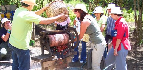 Don Juan Coffee, Chocolate & Sugar Cane Tour