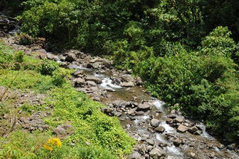 Monteverde Tours - San Luis Waterfall, Costa Rica