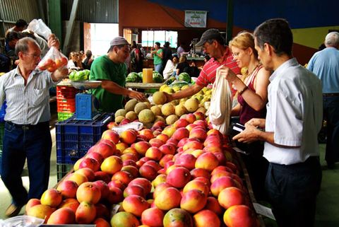 Monteverde Local Farmer's Market