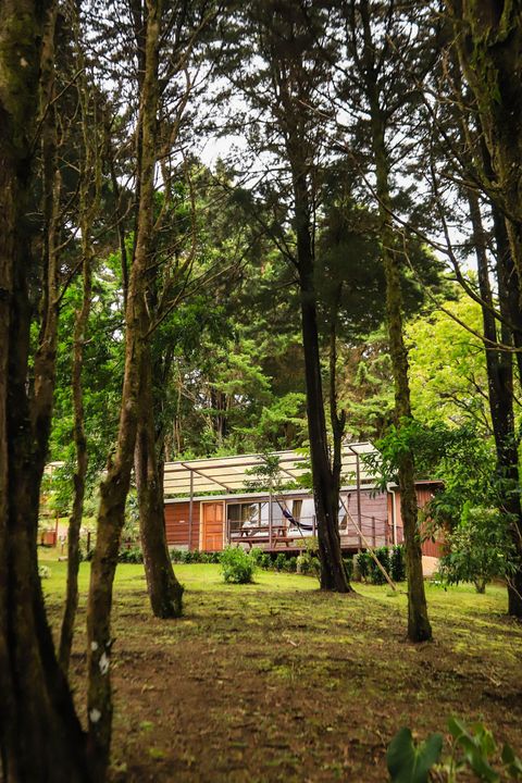 Cabañas y Jardines Los Pinos