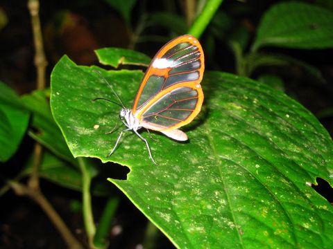 Curi Cancha Reserve Night Tour