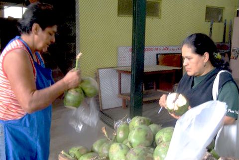 Monteverde Local Farmer's Market