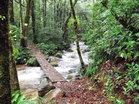 Curi-Cancha Reserve Tour