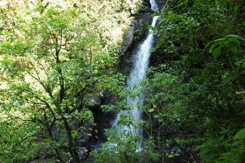 Monteverde Tours - San Luis Waterfall, Costa Rica