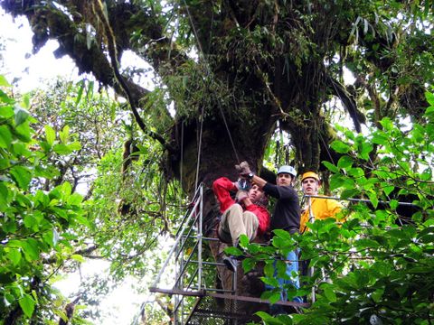 Selvatura Zip Line Canopy Tour & Cloud Forest Suspension Bridges