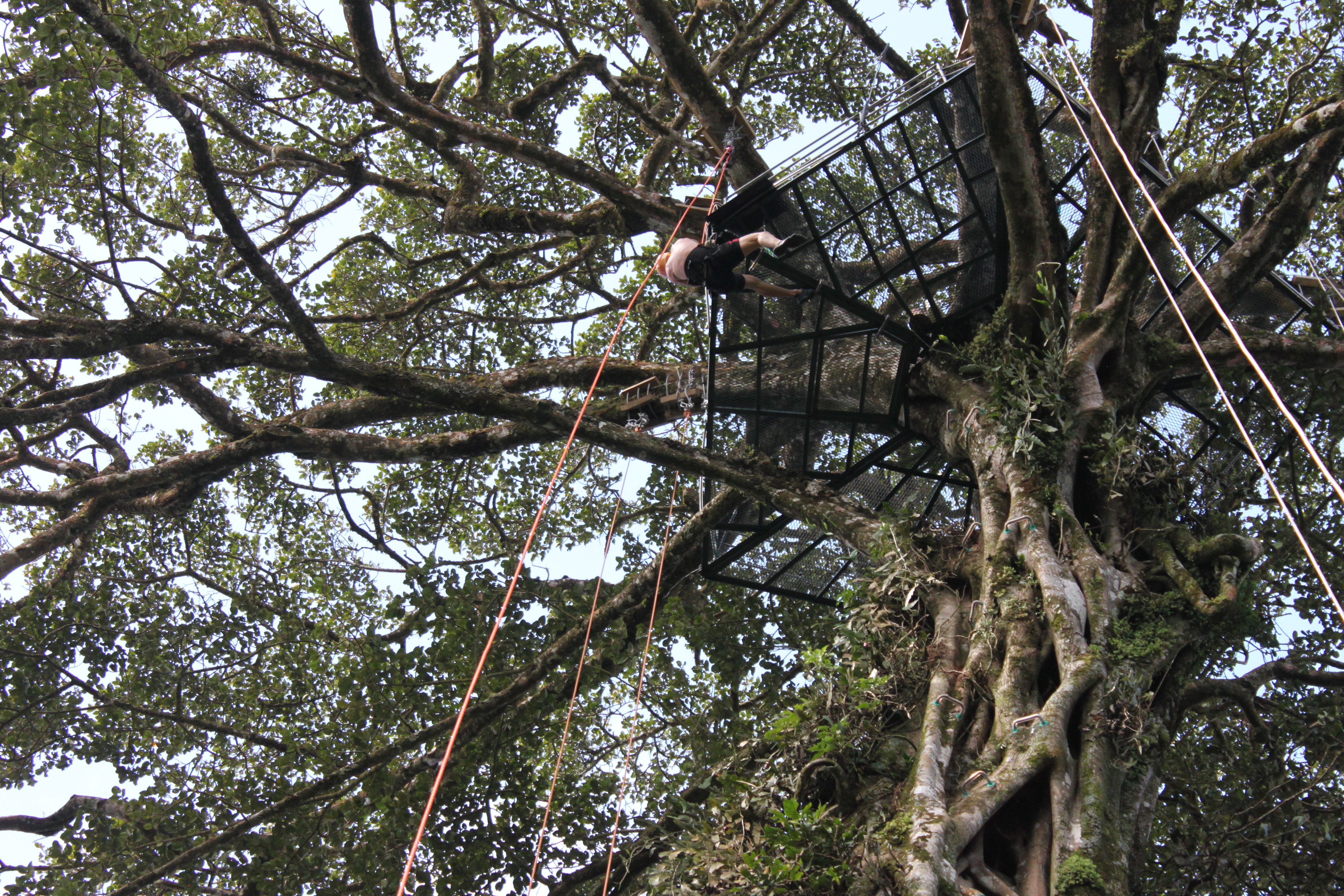 Tree Climbing in Costa Rica