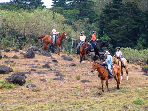 Horseback Riding