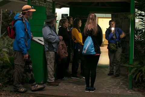 Children's Eternal Rainforest Night Walk