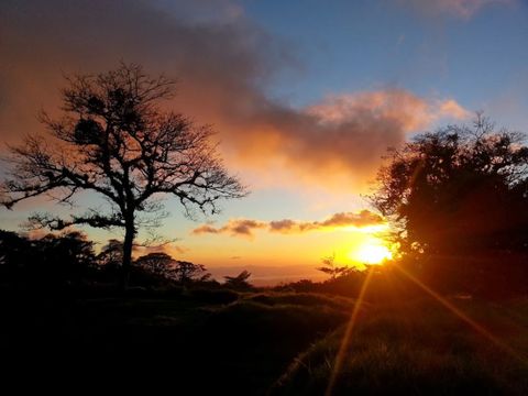 Curi Cancha Reserve Night Tour