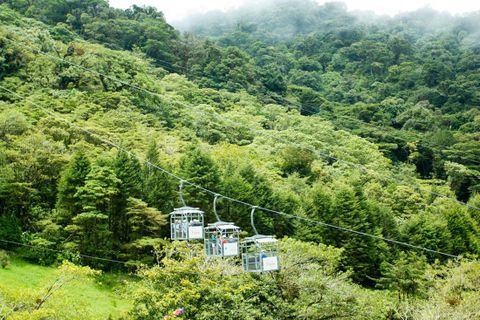 Cloud Forest Sky Tram